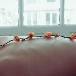 Aromaterapia, el mundo a través del olfato.
